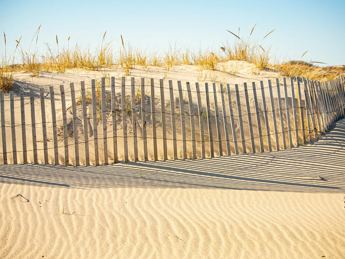 Wooden sand fence running along a grassy dune