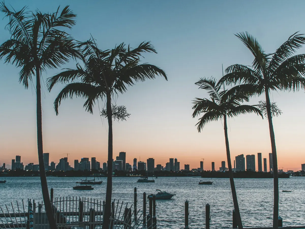 Palm trees silhouetted against the Miami skyline at sunset